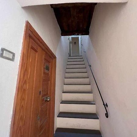 Suite Minerva 10 Steps From Piazza Civica アルゲーロ エクステリア 写真